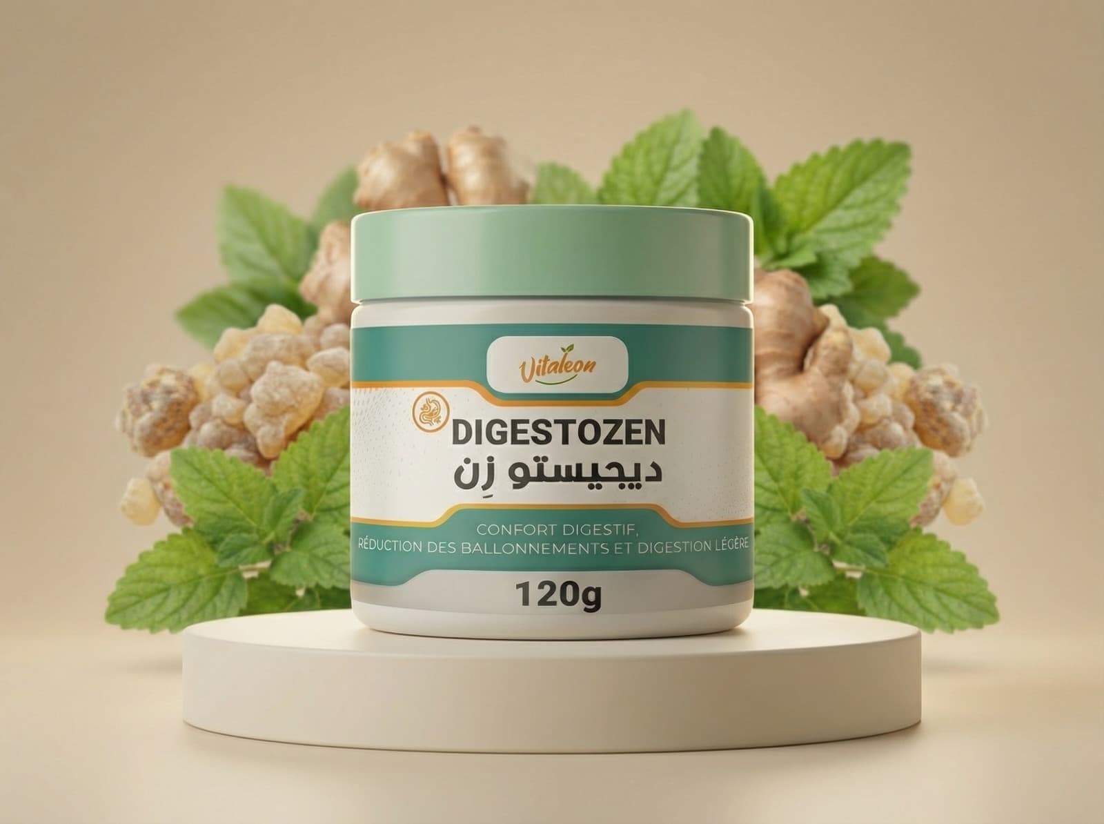 DigestoZen – Poudre naturelle